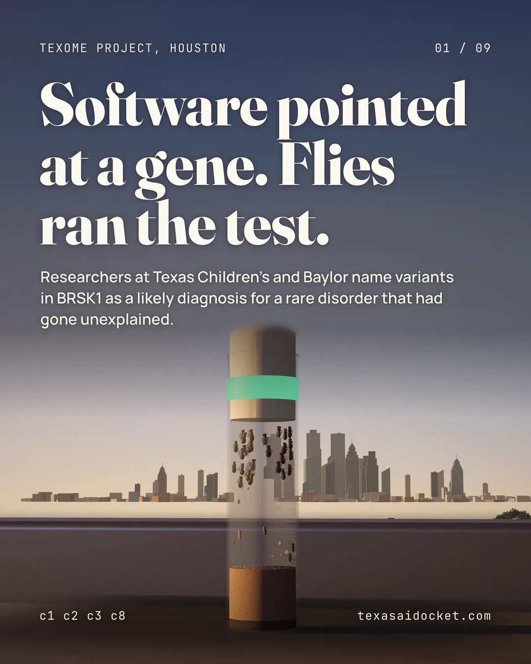 Software pointed at a gene. Flies ran the test. Researchers at Texas Children's and Baylor name variants in BRSK1 as a likely diagnosis for a rare disorder that had gone unexplained.