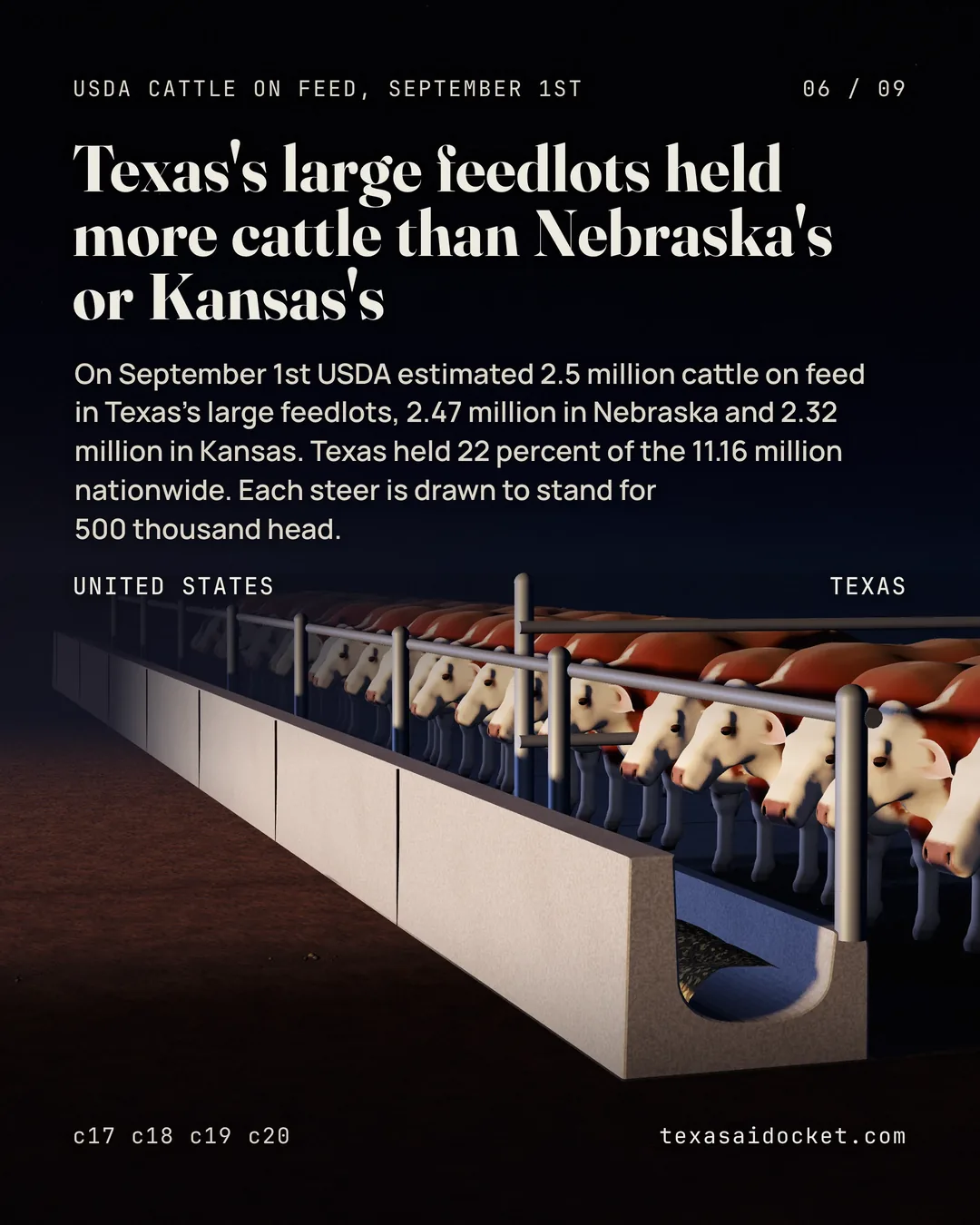 Texas's large feedlots held more cattle than Nebraska's or Kansas's On September 1st USDA estimated 2.5 million cattle on feed in Texas's large feedlots, 2.47 million in Nebraska and 2.32 million in Kansas. Texas held 22 percent of the 11.16 million nationwide. Each steer is drawn to stand for 500 thousand head.