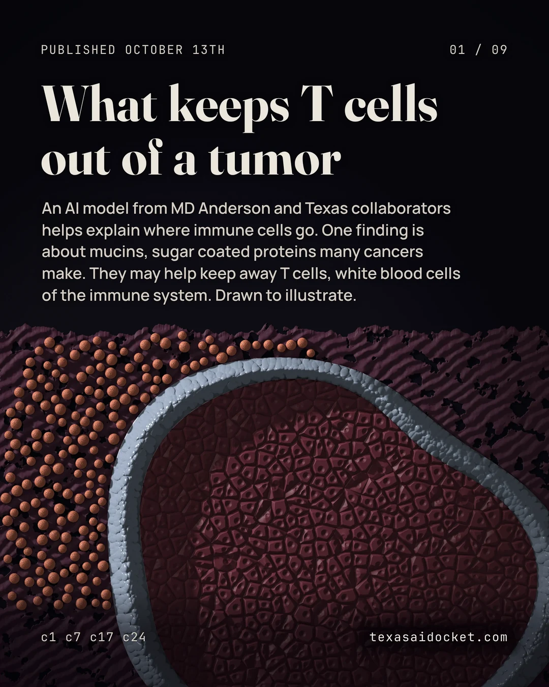 An AI model from MD Anderson and Texas collaborators helps explain where immune cells go. One finding is about mucins, sugar coated proteins many cancers make. They may help keep away T cells, white blood cells of the immune system. Drawn to illustrate.