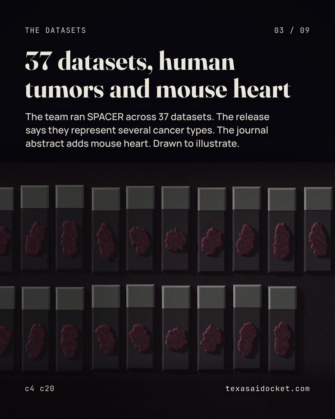 The team ran SPACER across 37 datasets. The release says they represent several cancer types. The journal abstract adds mouse heart. Drawn to illustrate.