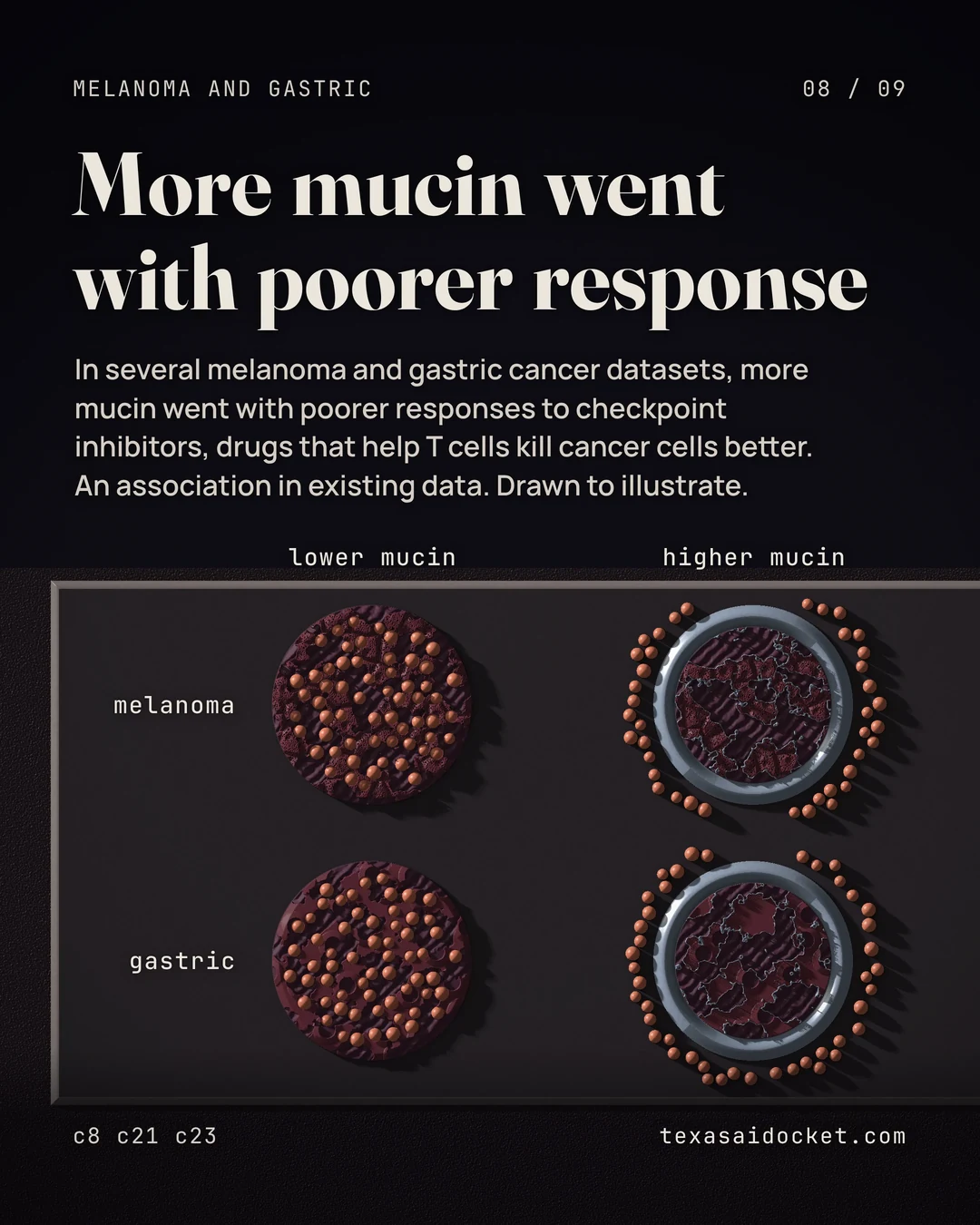 In several melanoma and gastric cancer datasets, more mucin went with poorer responses to checkpoint inhibitors, drugs that help T cells kill cancer cells better. An association in existing data. Drawn to illustrate.