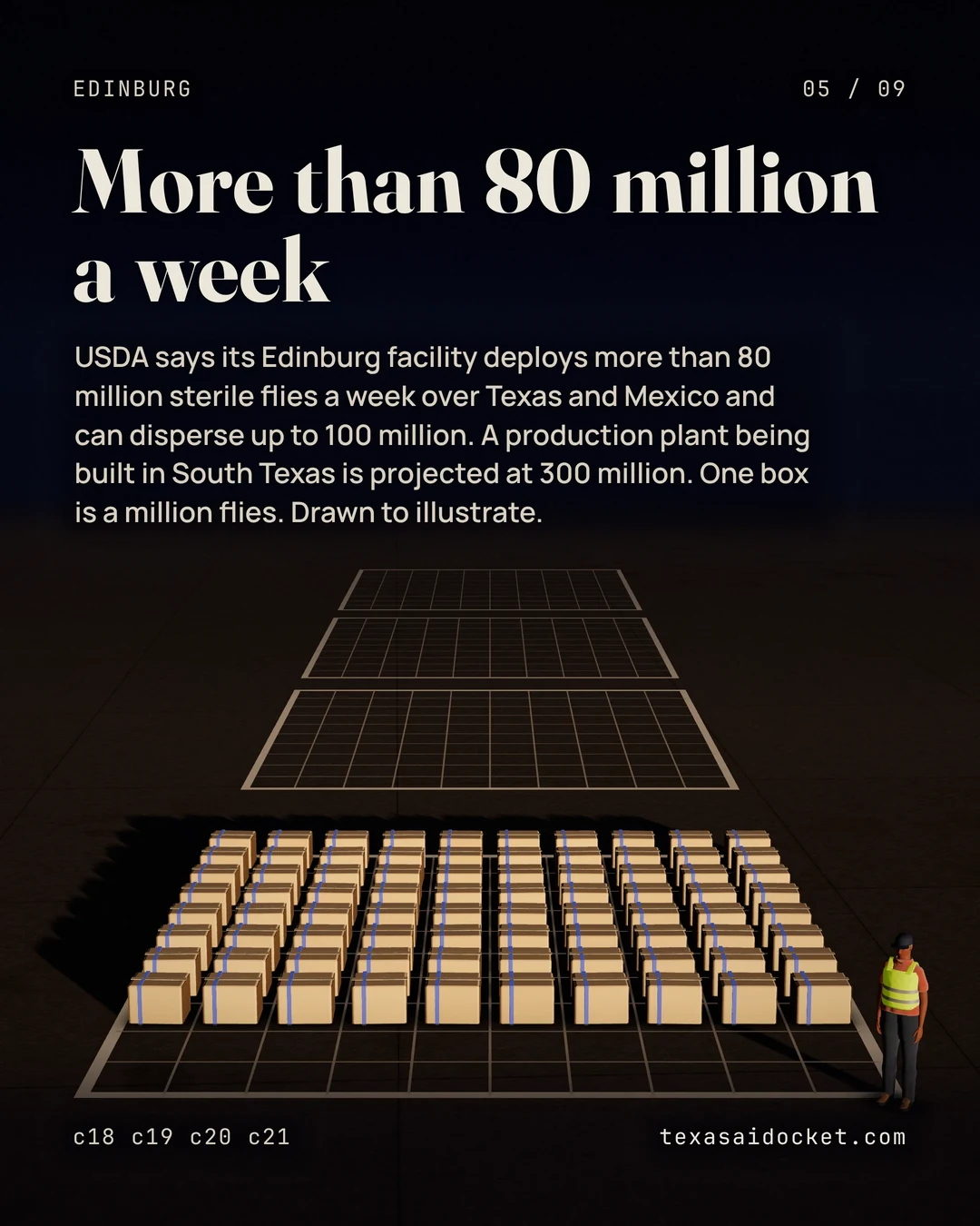 USDA says its Edinburg facility deploys more than 80 million sterile flies a week over Texas and Mexico and can disperse up to 100 million. A production plant being built in South Texas is projected at 300 million. One box is a million flies. Drawn to illustrate.