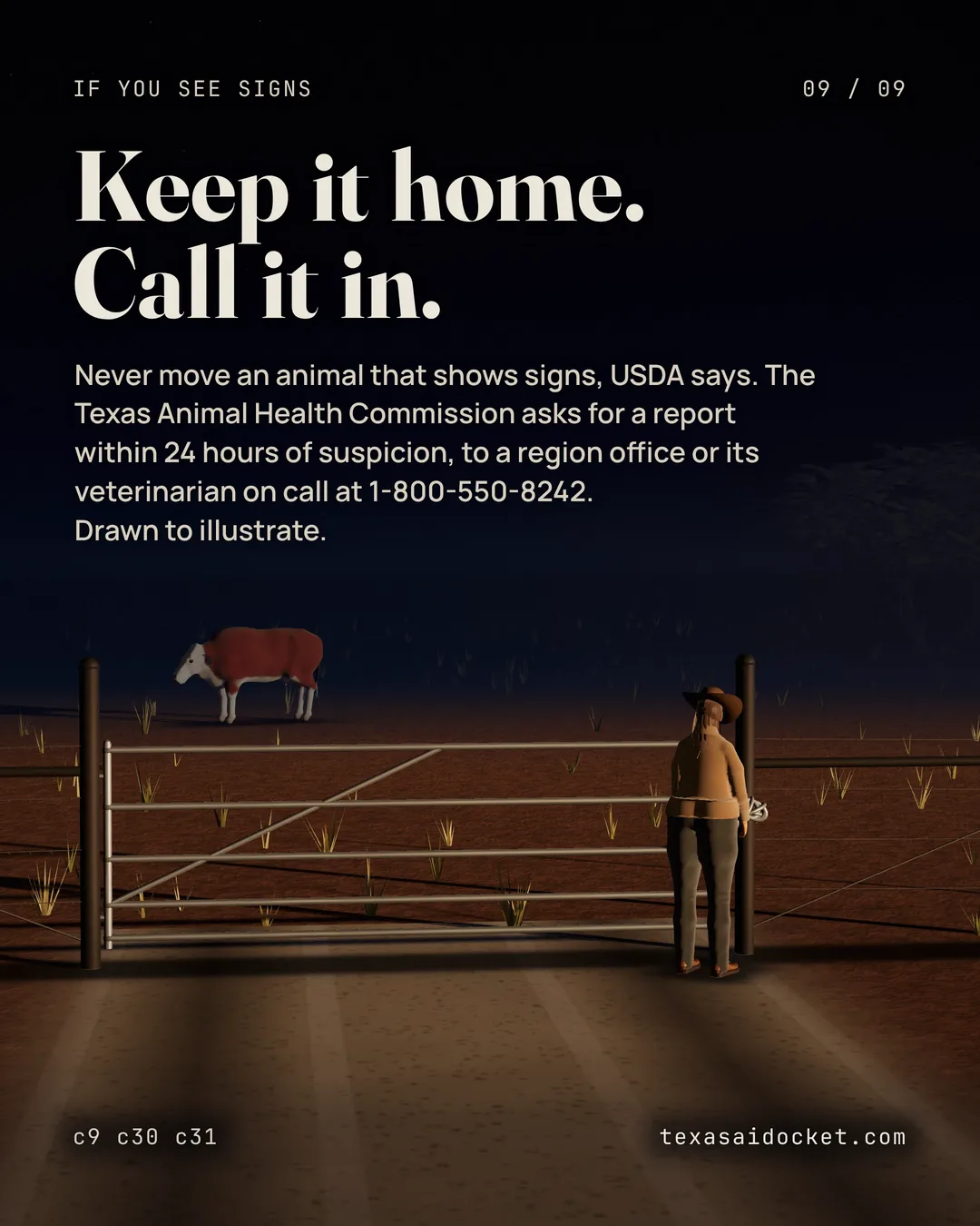 Keep it home. Call it in. Never move an animal that shows signs, USDA says. The Texas Animal Health Commission asks for a report within 24 hours of suspicion, to a region office or its veterinarian on call at 1-800-550-8242. Drawn to illustrate.